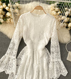 A Line Lace Long Sleeve Dress Fashion Dress HZ1022