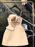 Simple A Line Straps Champagne Homecoming Dress 16th Birthday Outfits HZ1022