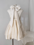 Princess Bowknot Halter Neck Sling Waist Net Tulle Puffy Birthday Party Dress Homecoming Dress HZ1022
