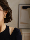 2025 new trendy earrings light luxury high-end niche geometric design earrings for women HZ1022