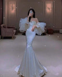 Mermaid Long Prom Dress Charming Evening Dress Birthday Outfits HZ1022